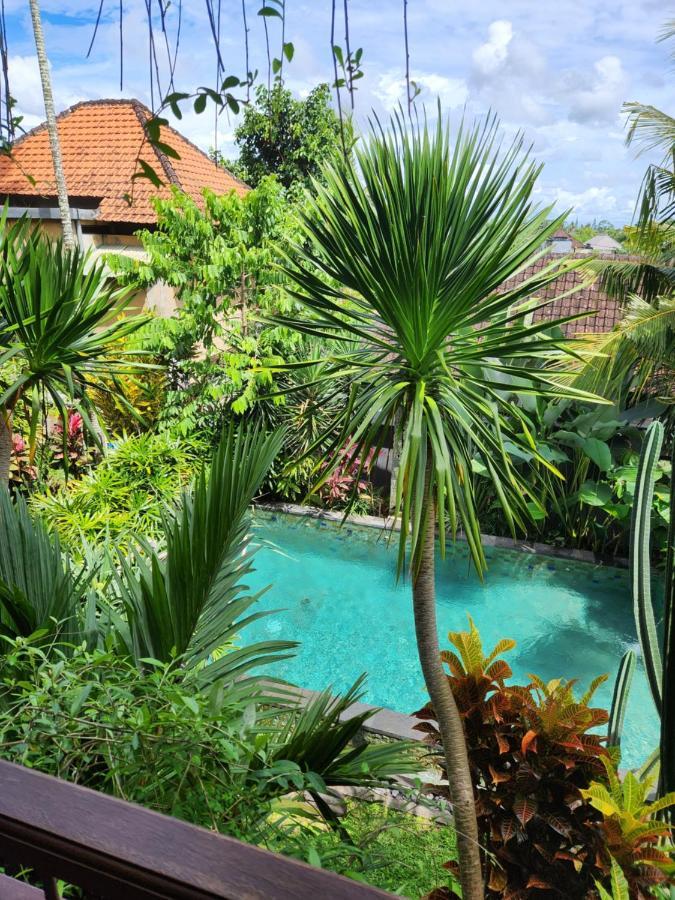 Buda Amitaba Ubud Esterno foto